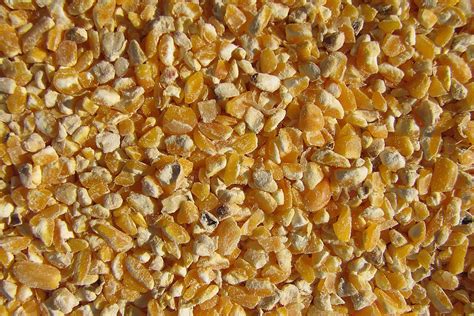 crack corn benefits